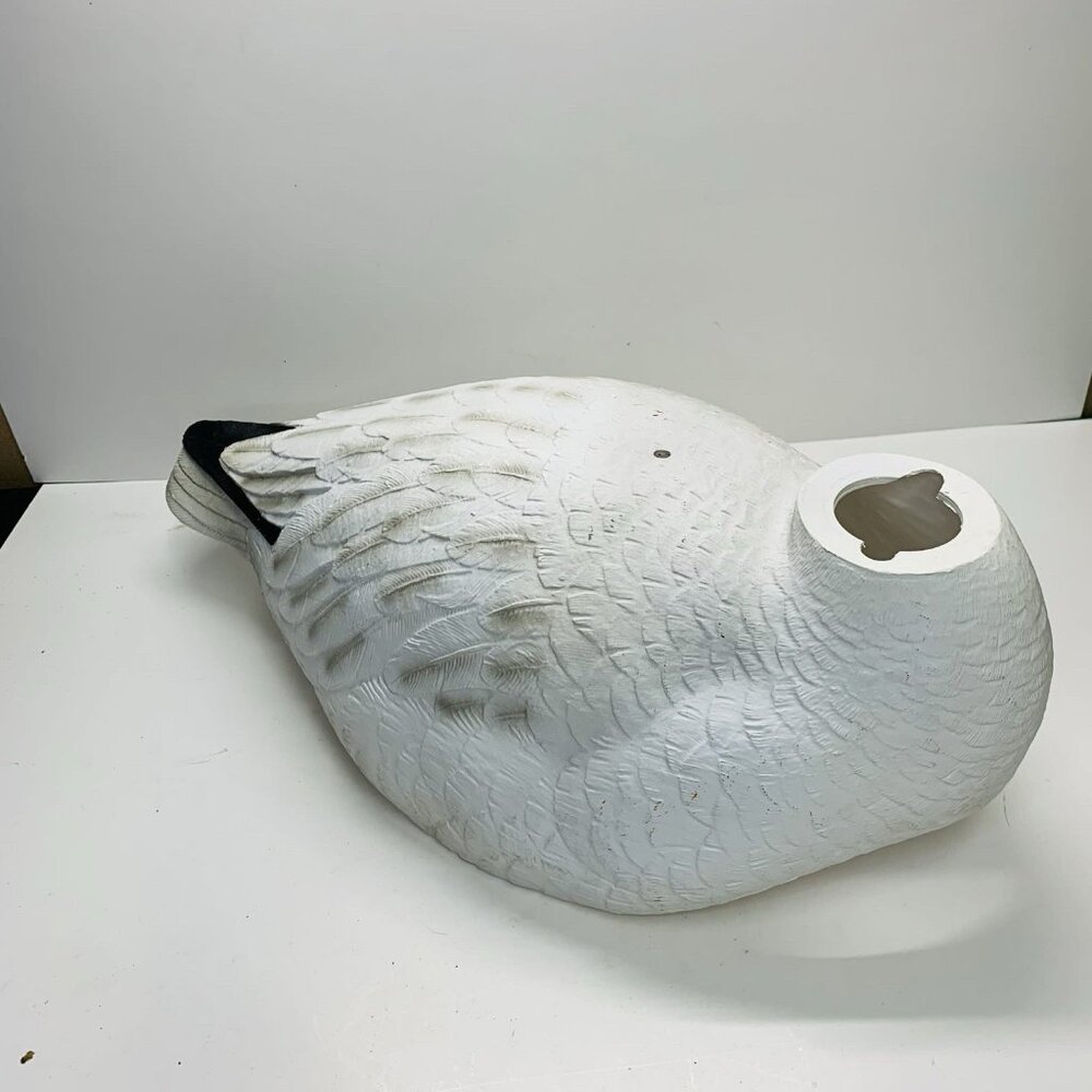Snow Goose Shell Feeder Decoy Without Head - Picture 4 of 12
